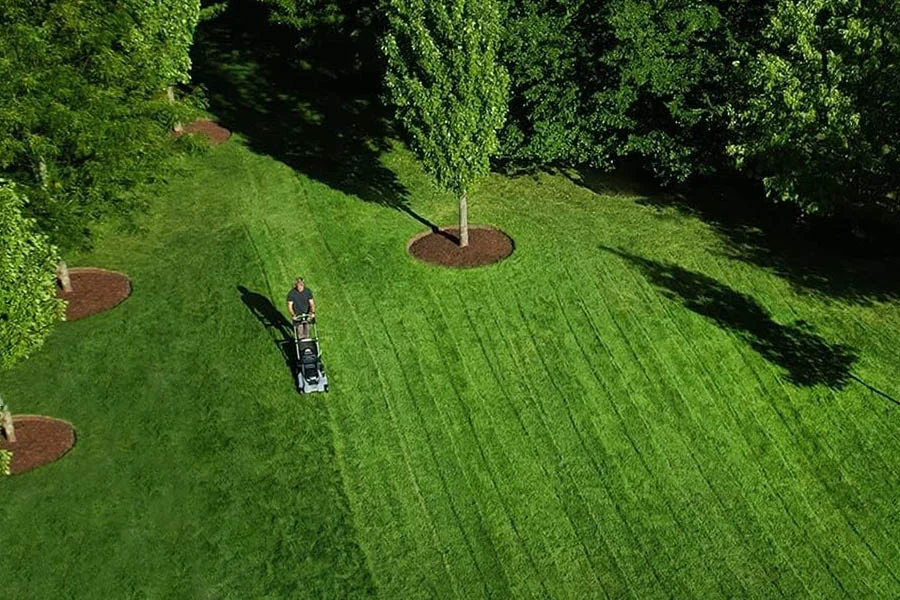 battery powered self propelled lawn mowers